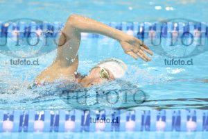 Image 16 00054