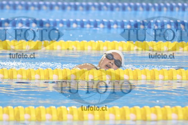 Image 17 00084