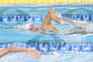 Image 17 00051