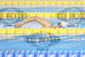 Image 17 00049