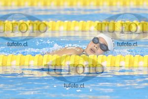 Image 17 00048