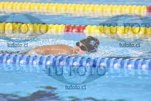 Image 17 00043