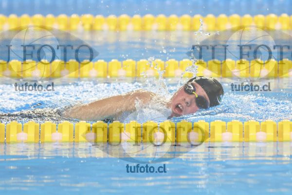 Image 21 00065