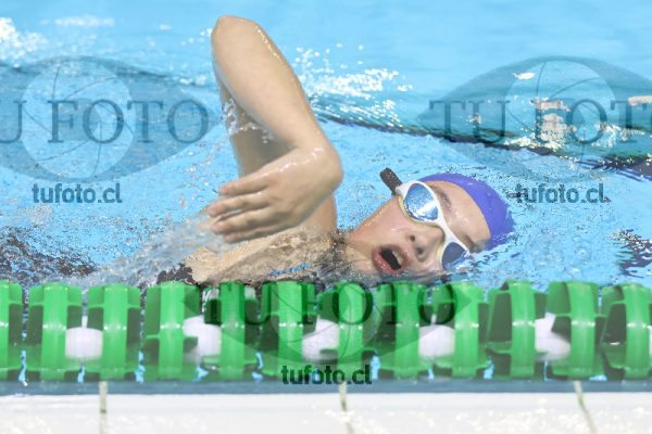 Image 21 00061