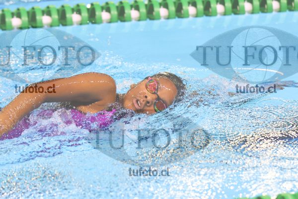 Image 23 00033