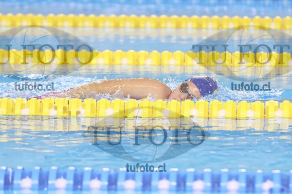 Image 24 00065