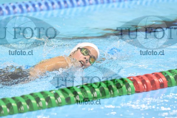 Image 24 00029