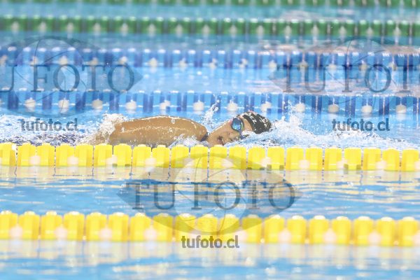 Image 24 00025