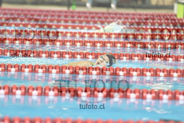 Image 25 00095