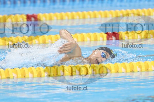 Image 7 00062
