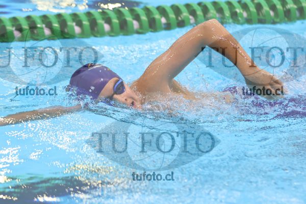 Image 8 00052