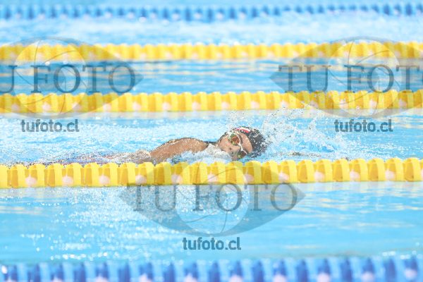 Image 10 00036