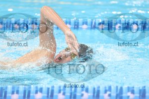 Image 10 00062