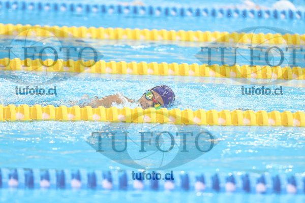 Image 11 00042