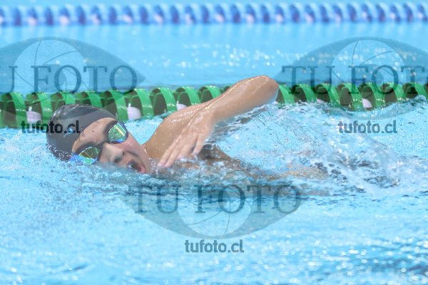 Image 11 00082