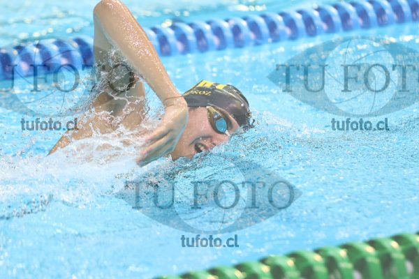 Image 16 00042