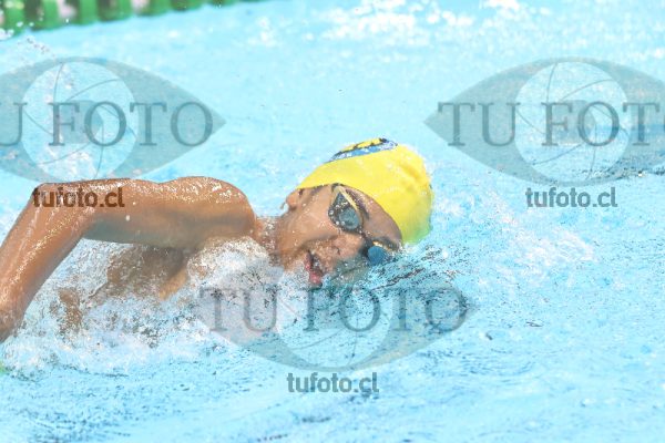 Image 16 00043