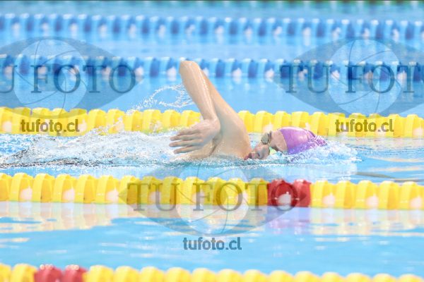 Image 16 00046