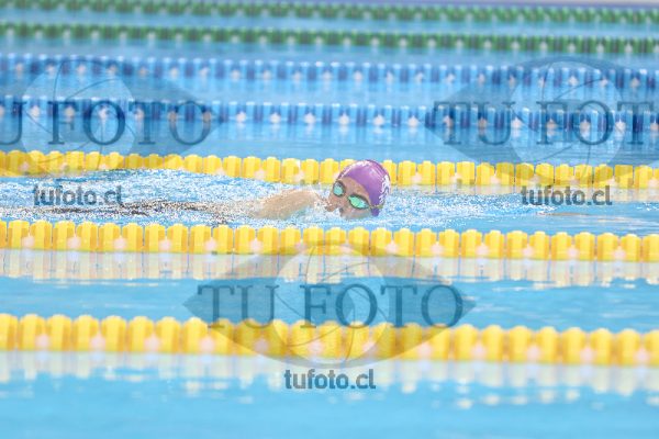 Image 16 00048