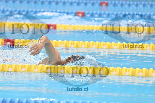 Image 16 00052