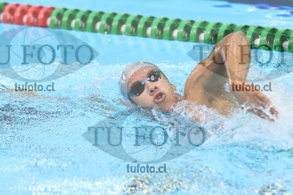 Image 16 00081