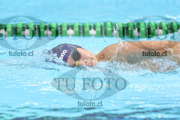 Image 1700040