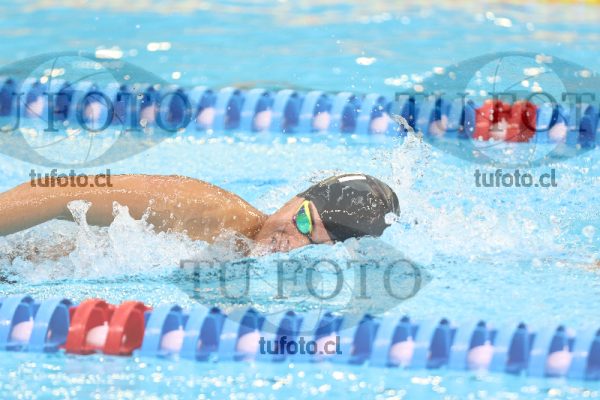 Image 1700049