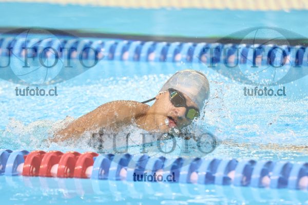Image 1700061