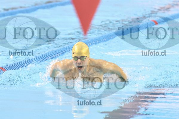 Image 8 00058