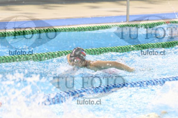 Image 8 00064