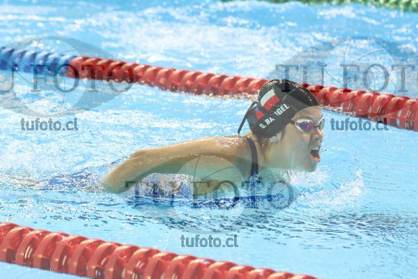 Image 11 00031