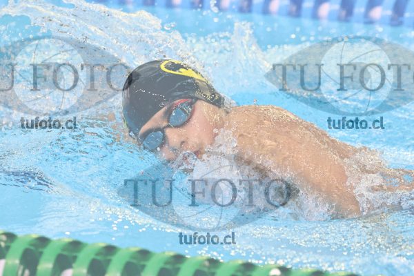 Image 800 libre varones 000039