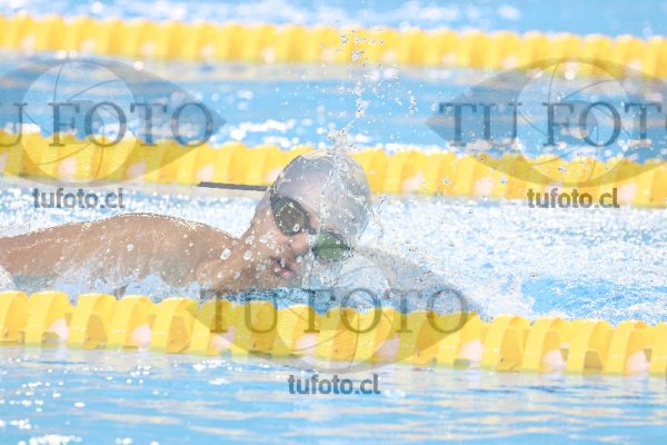 Image 800 libre varones 000059
