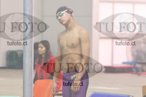 Image 800 libre varones 000069