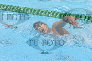 Image 800 libre varones 000117