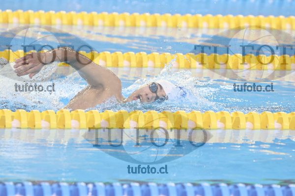 Image 800 libre varones 000121