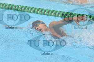 Image 800 libre varones 000129
