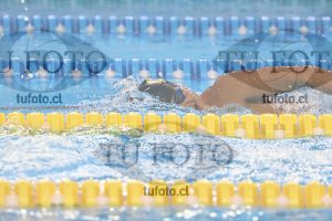 Image 800 libre varones 000135