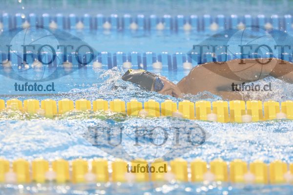 Image 800 libre varones 000135