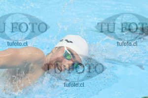 Image 800 libre varones 000146