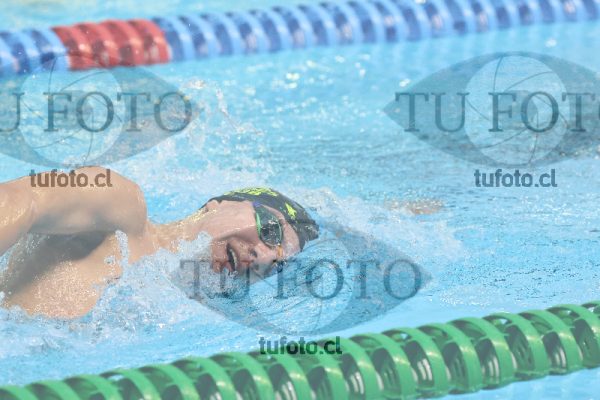 Image 800 libre varones 000213
