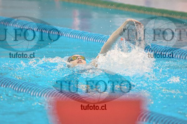 Image 400 combinado mixto 000083