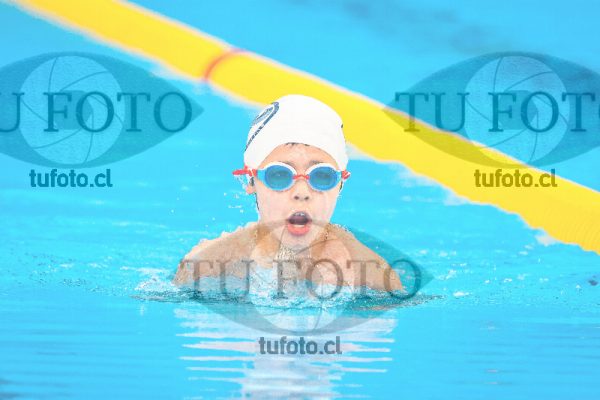 Image FM 50 pecho 7 años varones 000033
