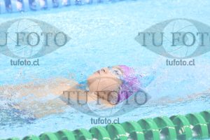 Image FM 100 Espalda Varones 7 Años 000068
