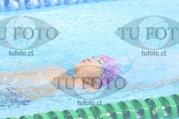 Image FM 100 Espalda Varones 7 Años 000068
