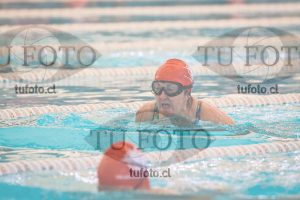 Image 2 SD 100 pecho 000027