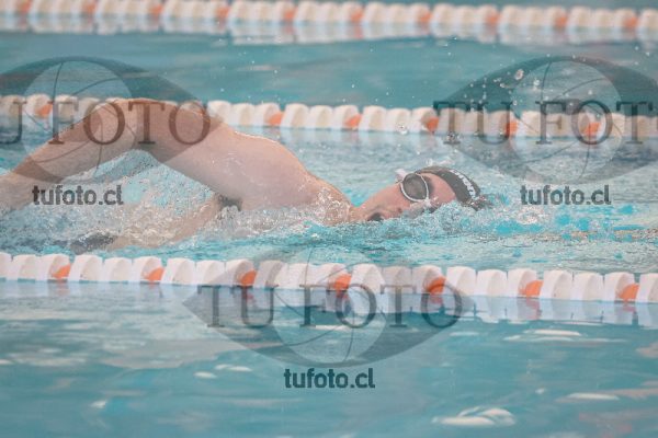 Image 17 SD 100 libre 000449