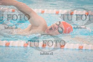 Image 4 SD 100 libre 000115