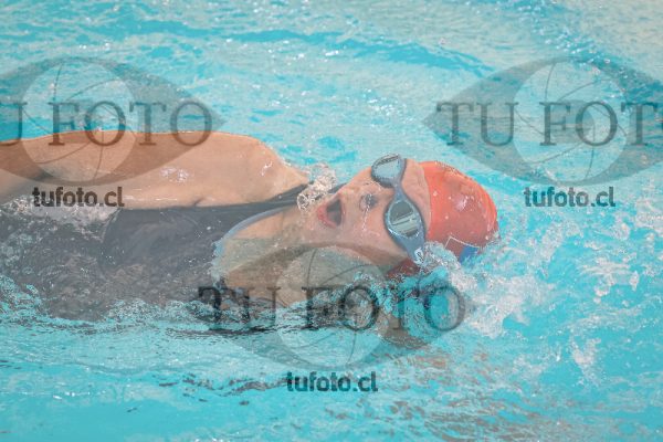 Image 4 SD 100 libre 000126