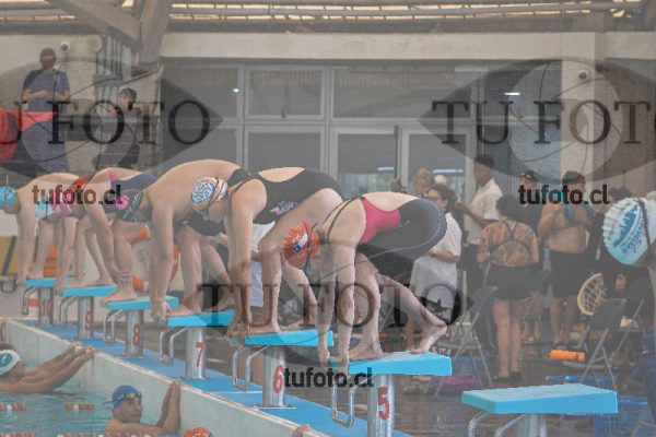 Image 22 SD 100 libre 000544